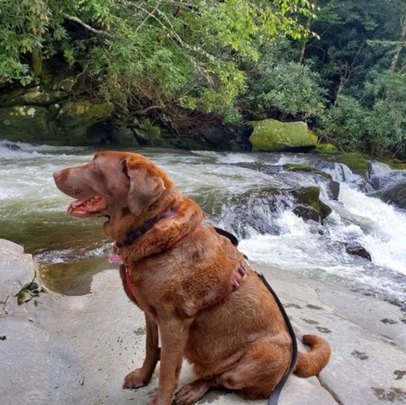 Meet your Posher, Jaime - Picture 1 of 1